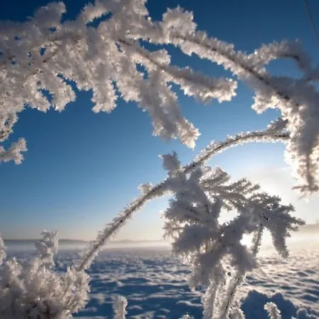 Casa Milo - Holiday home *