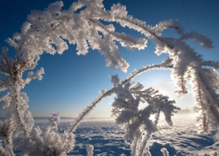 Casa Milo - Holiday home *