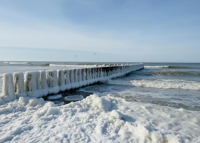 Casa Milo - * Trzesacz