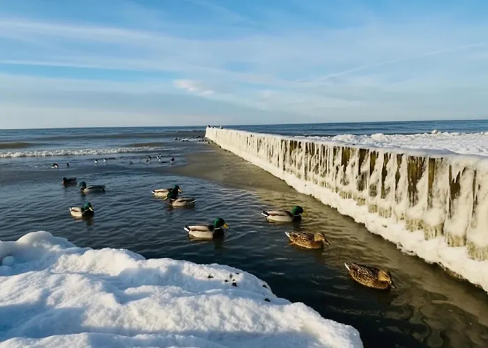 Holiday home Casa Milo -